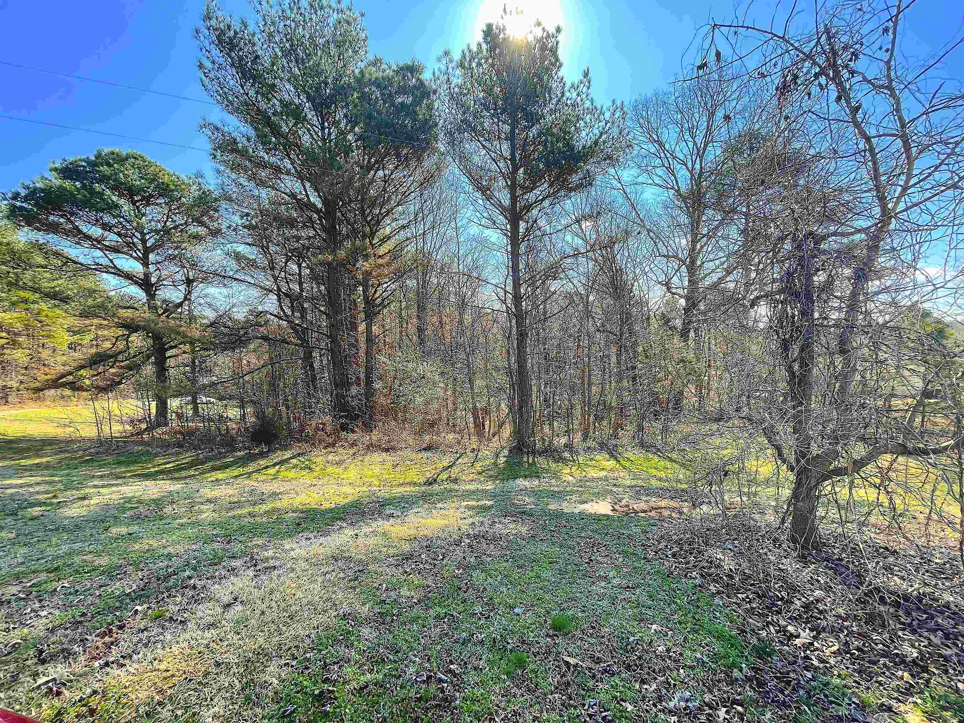245 Jennifer Road Holly Springs, MS 38635 - Photo 1 of 5 Gallery Image 1