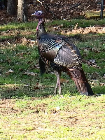 $638,000 | 179 Stone Country Lane, Asheboro, NC 27205