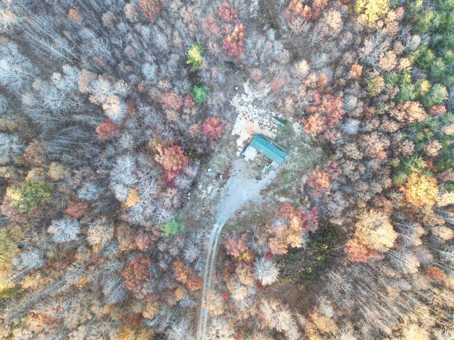 518 Pamplin Road Pamplin, VA 23958 - Photo 5 of 24 a close up of a tree