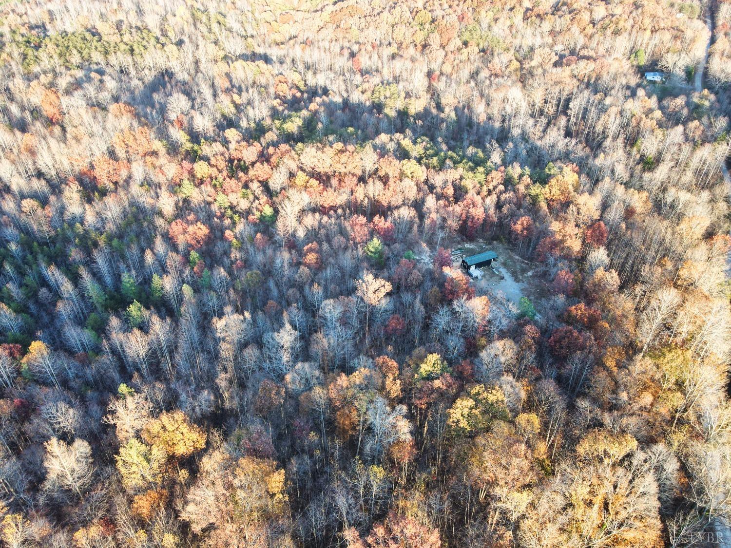 518 Pamplin Road Pamplin, VA 23958 - Photo 8 of 24