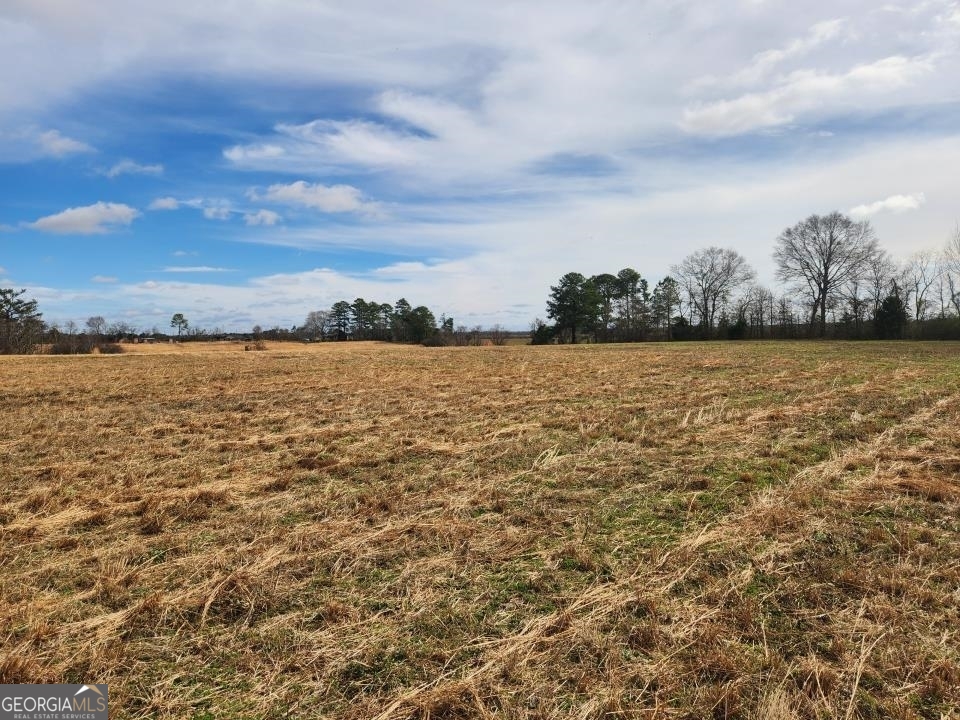 0 Murdock Road Cochran, GA 31014 - Photo 1 of 1 a view of an ocean