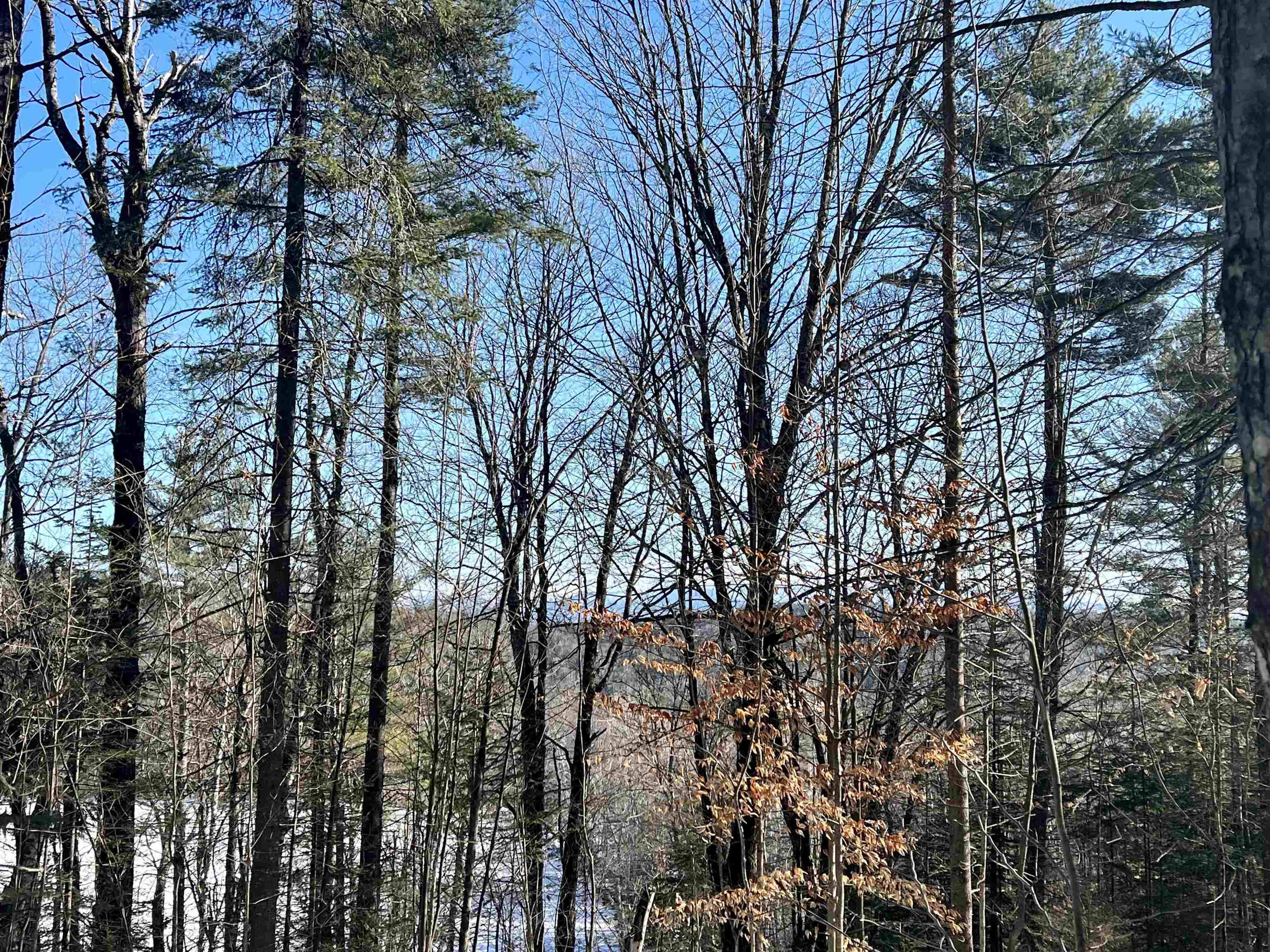 0 Corey Hill Road Newbury, VT 05051 - Photo 1 of 19 Gallery Image 1