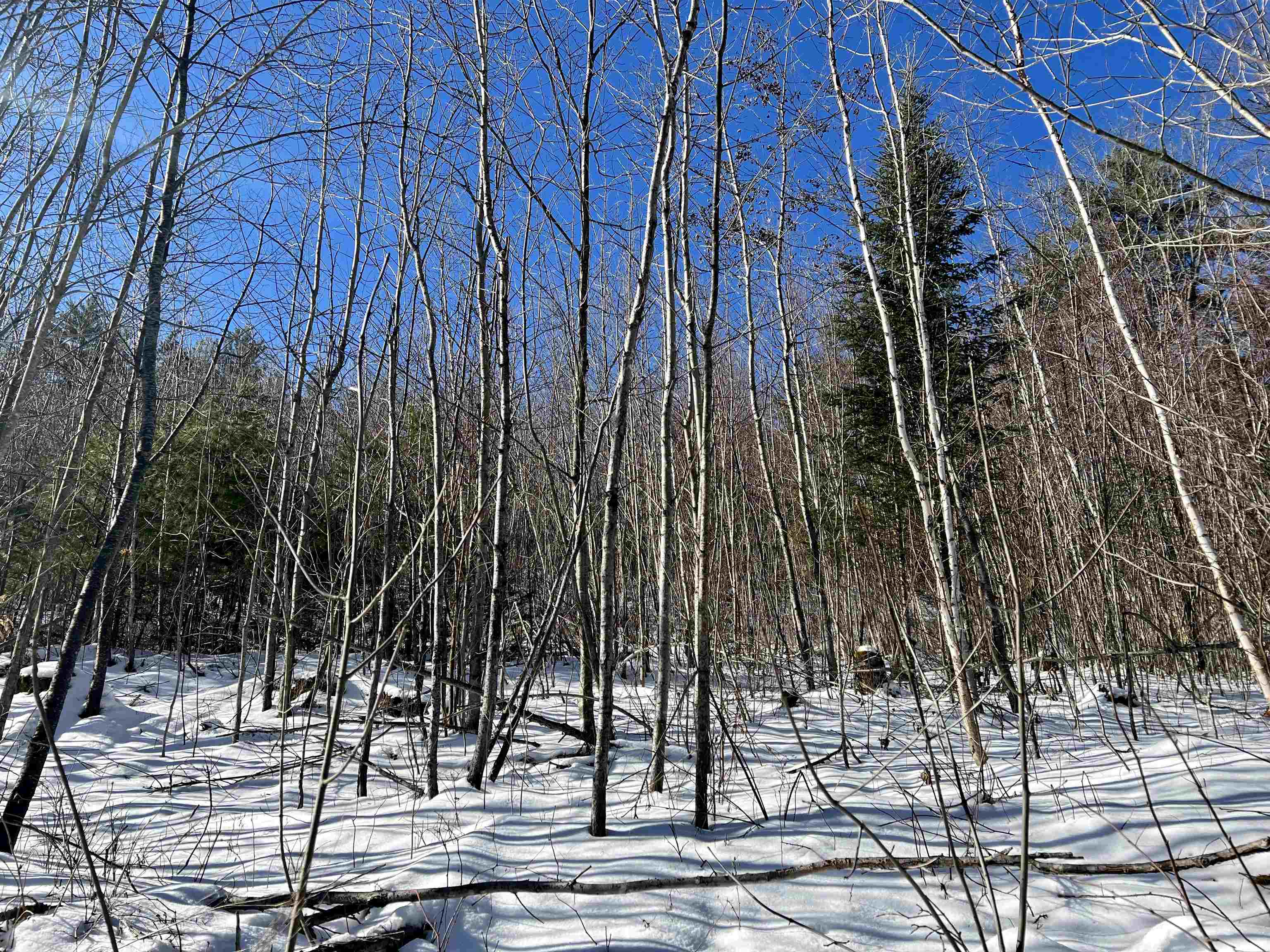 0 Corey Hill Road Newbury, VT 05051 - Photo 8 of 19 Gallery Image 8