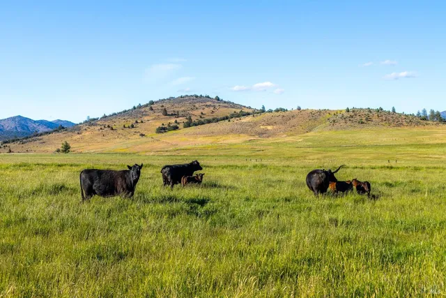 $16,900,000 | 6728 Gazelle Callahan Road, Callahan, CA 96014