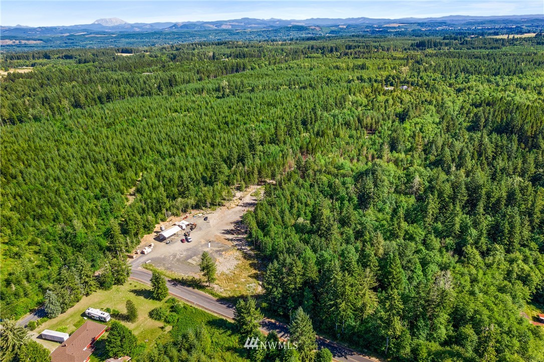 345 Oyler Road Ethel, WA 98542 - Photo 9 of 10 Gallery Image 9