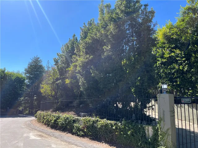 a view of a street with flower plants and tree