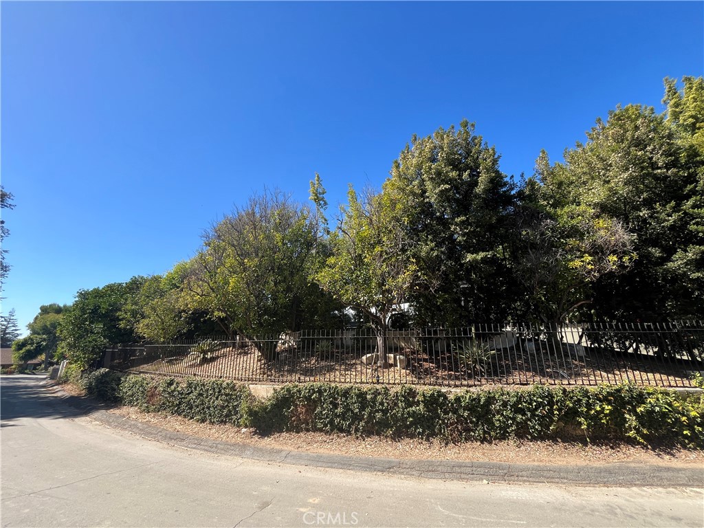 9625 Oak Pass Road Beverly Hills, CA 90210 - Photo 30 of 30