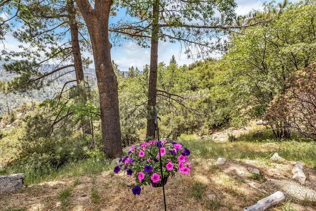 $865,000 | 21395 Highway 243, Idyllwild, CA 92549