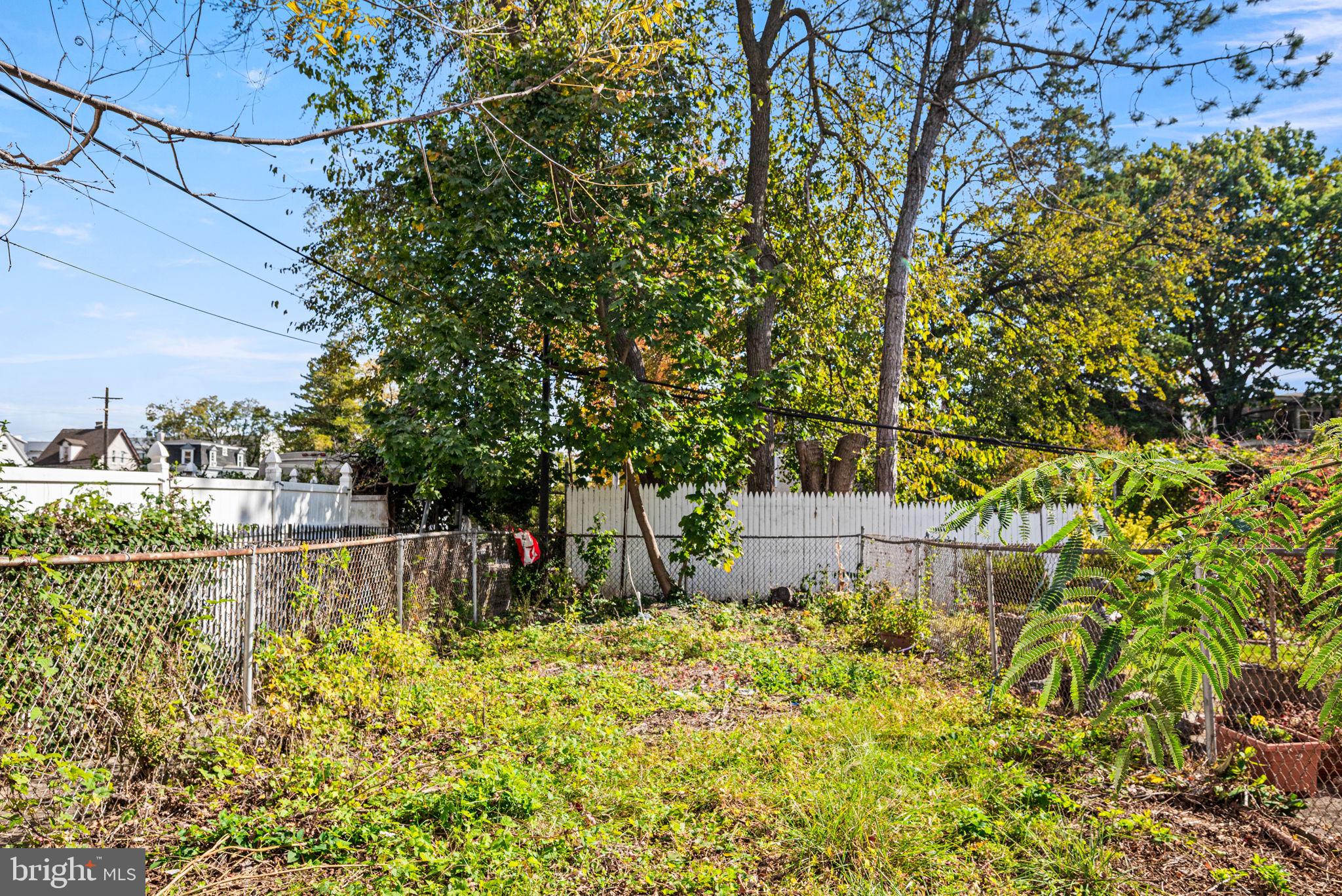 102 West Cliveden Street Philadelphia, PA 19119 - Photo 20 of 25 a view of a garden with large trees