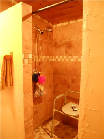 236 East Piney Road Dickson, TN 37055 - Photo 8 of 19 a bathroom with a shower
