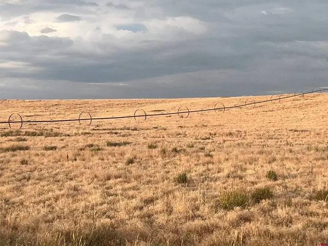 a view of a dry yard with wooden fence