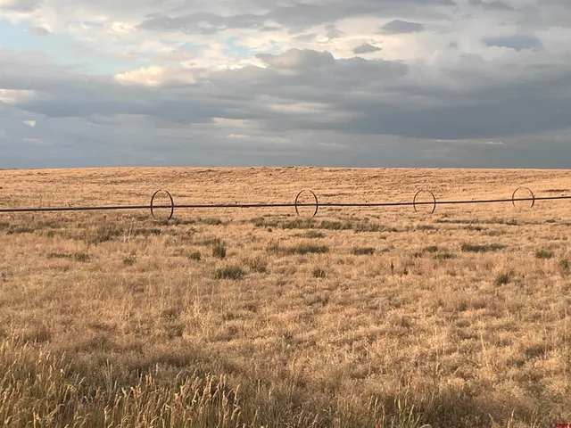 a view of an ocean and beach