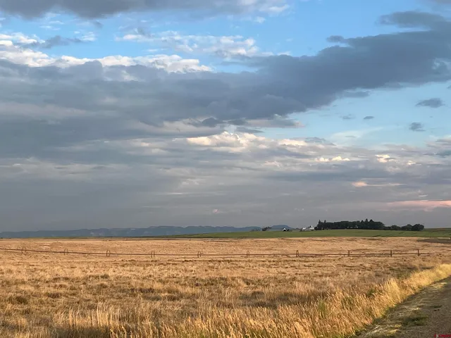 a view of a dry yard with wooden fence