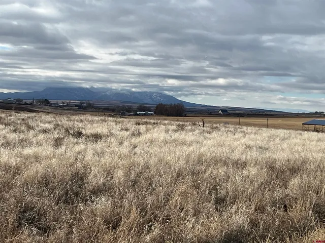 a view of a yard with wooden fence