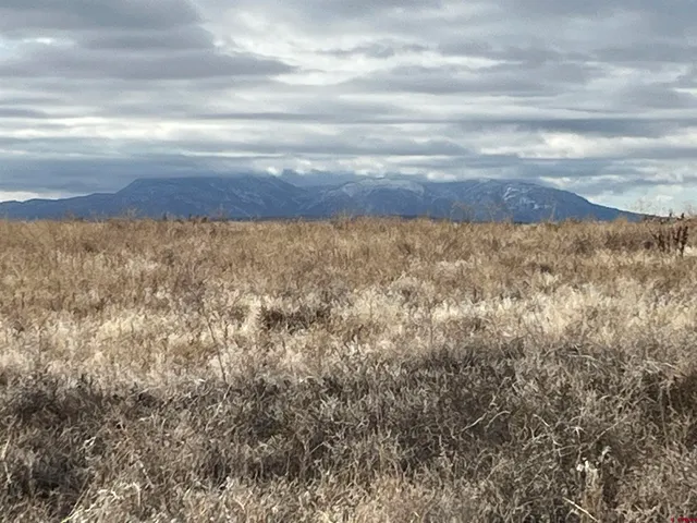 a view of a large body of water with lots of buildings in the background