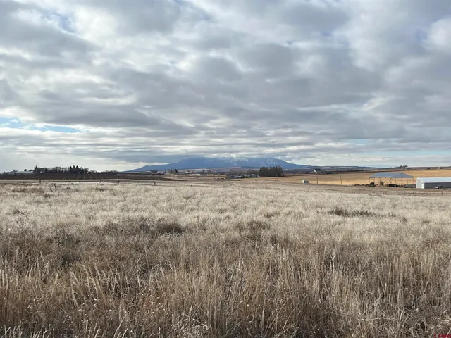 a view of a yard with an outdoor seating