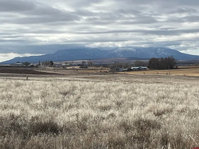 a view of city and green space