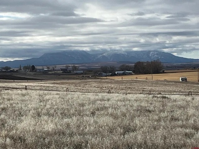 a picture of a city view