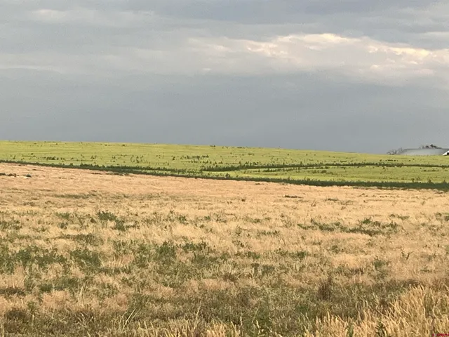 a view of an ocean beach