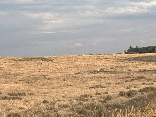 a view of ocean view with beach
