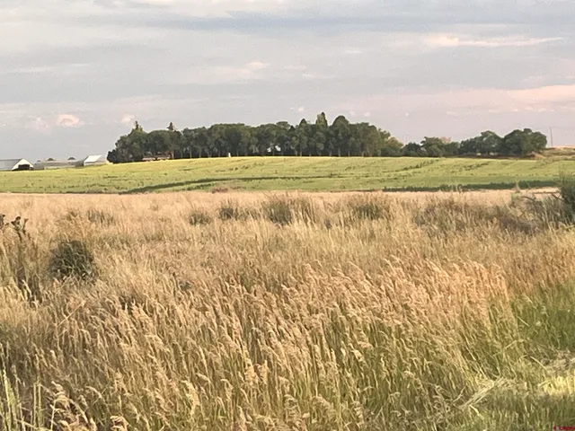 a view of lake and mountain