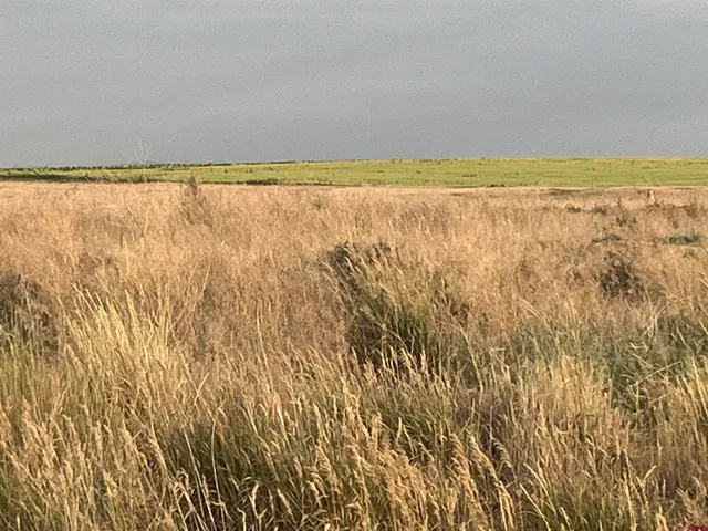 a view of an ocean and beach