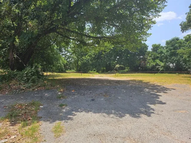 a view of a yard with a large trees