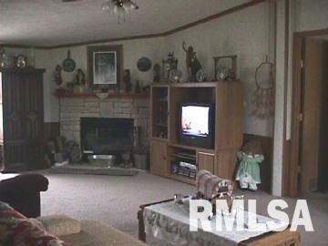 308 South Thompsonville Road Thompsonville, IL 62890 - Photo 2 of 7 Gallery Image 2