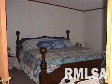 308 South Thompsonville Road Thompsonville, IL 62890 - Photo 6 of 7 Gallery Image 6