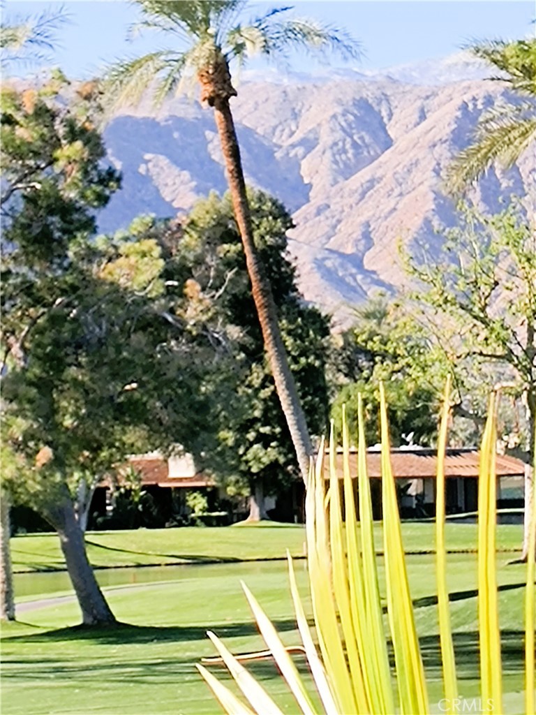 6 Whittier Court Rancho Mirage, CA 92270 - Photo 48 of 70 VIEW of Santa Rosa and San Jacinto Mountains
