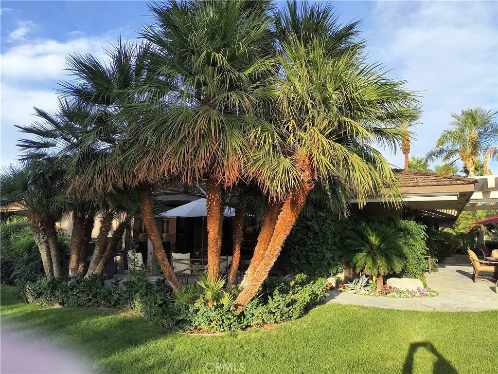 6 Whittier Court Rancho Mirage, CA 92270 - Photo 49 of 70 SIDE VIEW PATIO