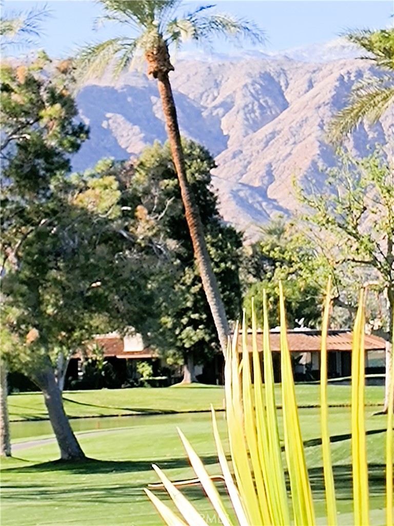 6 Whittier Court Rancho Mirage, CA 92270 - Photo 55 of 74 VIEW of Santa Rosa and San Jacinto Mountains