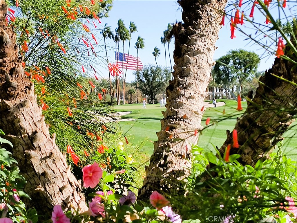 6 Whittier Court Rancho Mirage, CA 92270 - Photo 56 of 70 11th GREEN VIEW