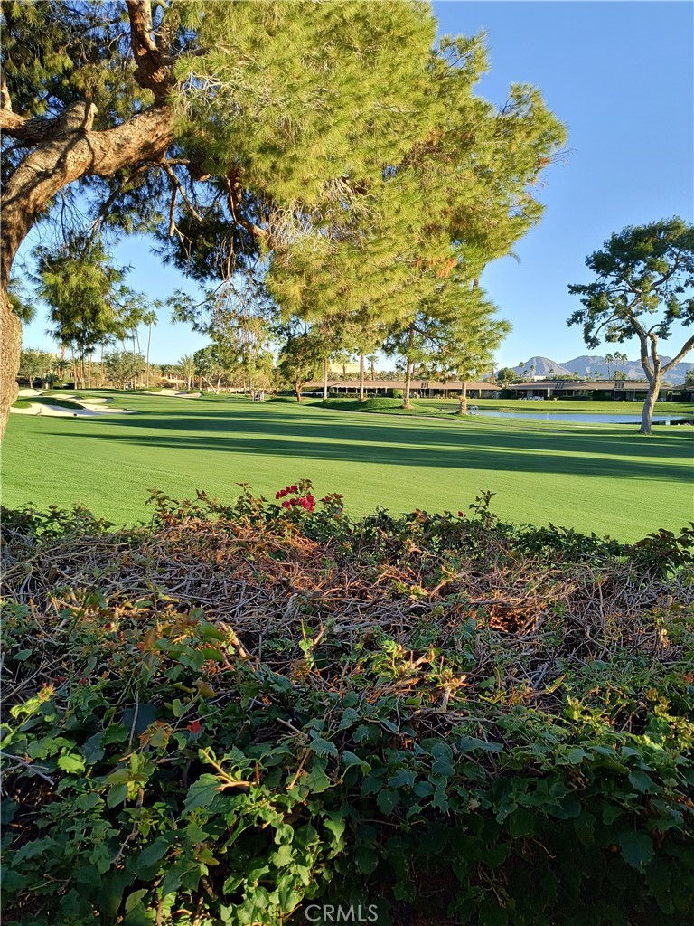 6 Whittier Court Rancho Mirage, CA 92270 - Photo 58 of 70 PATIO VIEW 11TH FWY