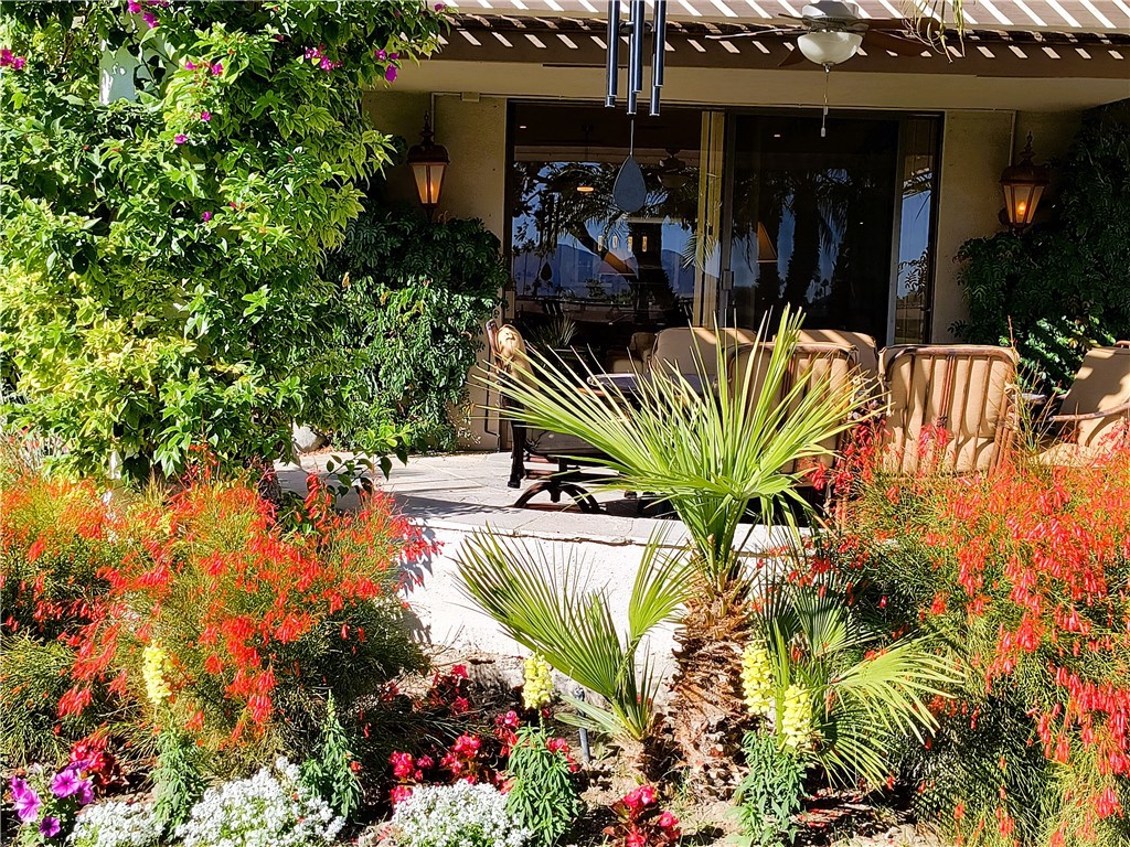 6 Whittier Court Rancho Mirage, CA 92270 - Photo 61 of 74 BACK OF HOME 5