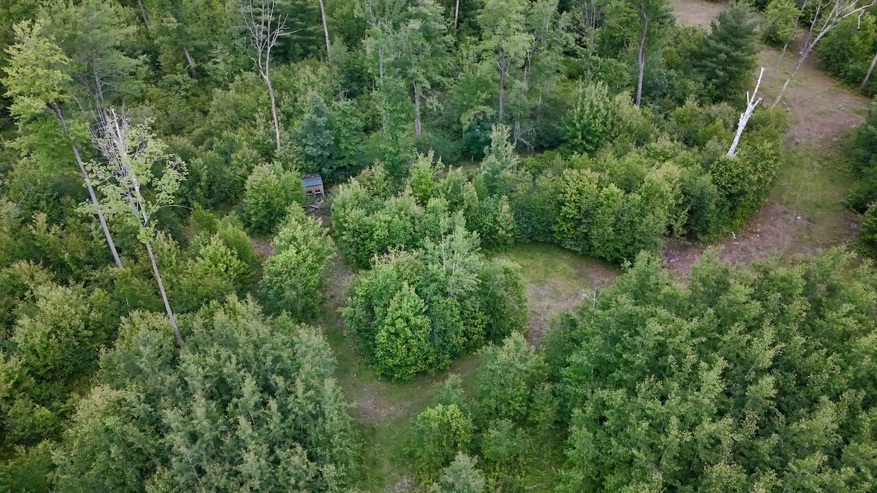 4473 Hamilton Drive Harrison, MI 48625 - Photo 12 of 77 8
