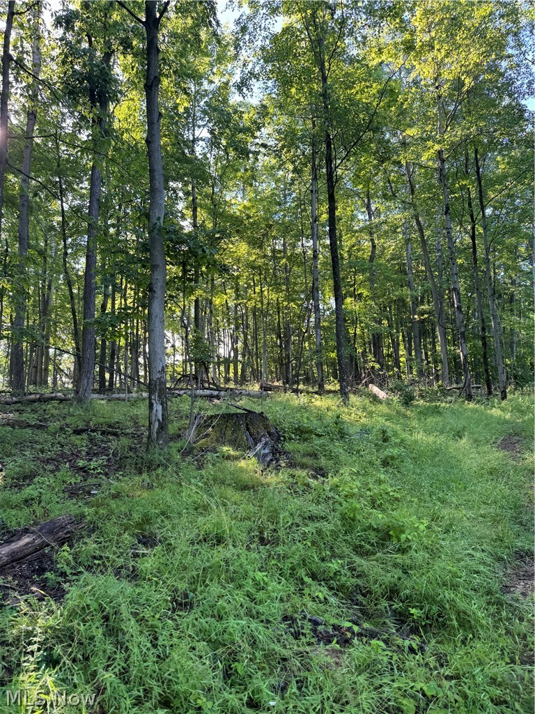Stone Quarry Road Danville, OH 43014 - Photo 23 of 50
