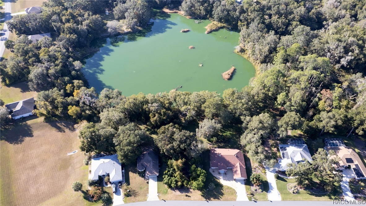 2864 North Kittery Point Hernando, FL 34442 - Photo 4 of 11