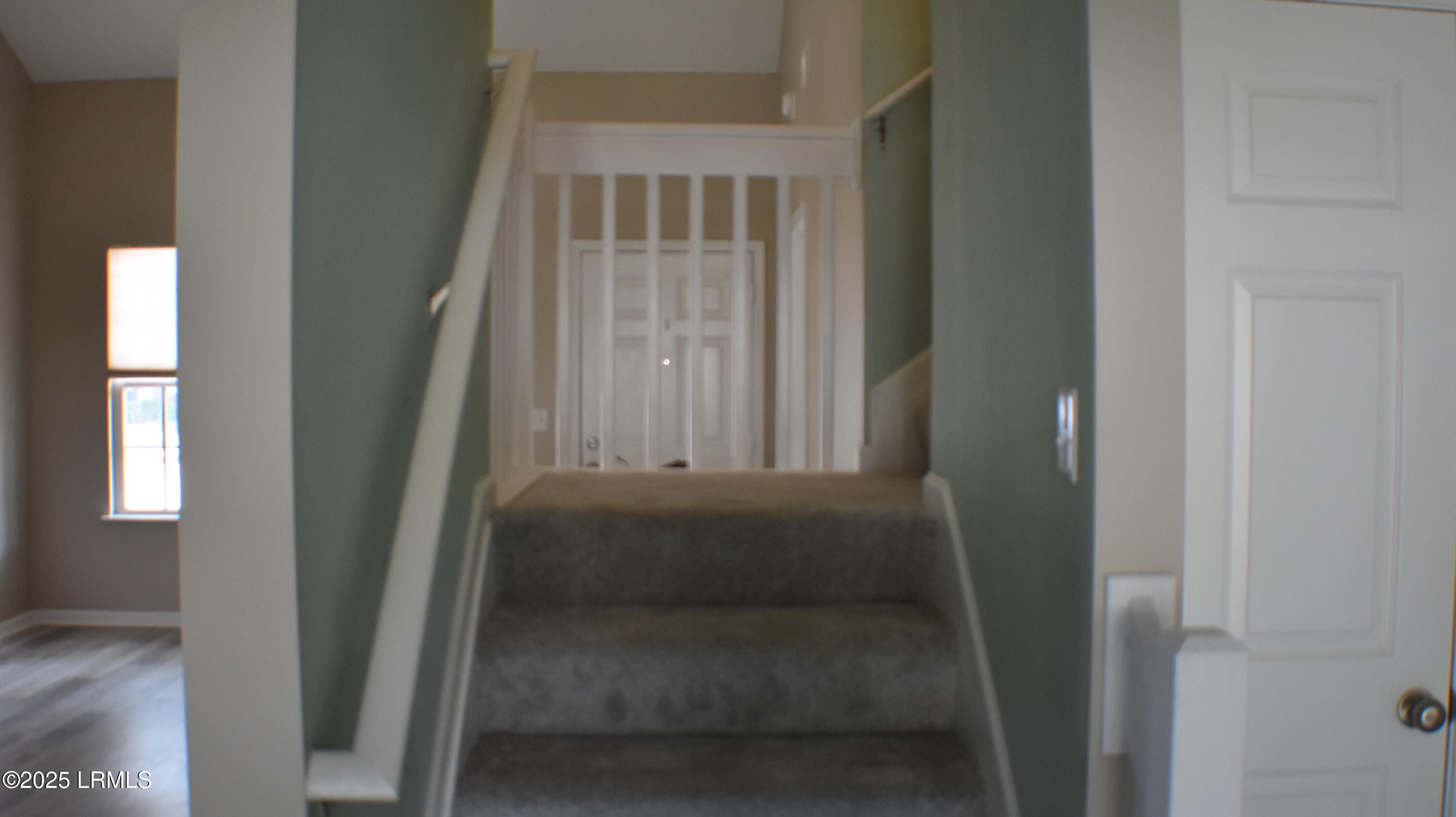 539 Candida Drive Beaufort, SC 29906 - Photo 31 of 49 30037126_DSC_8984