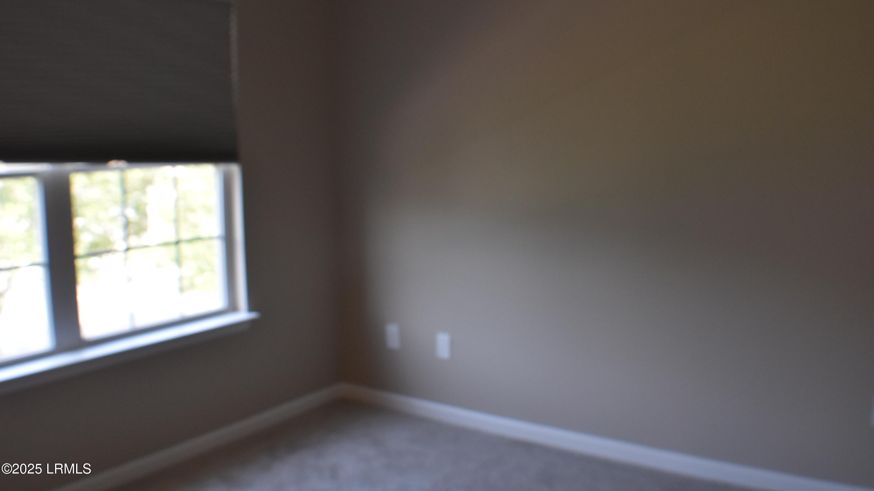 539 Candida Drive Beaufort, SC 29906 - Photo 35 of 49 30037130_DSC_8988