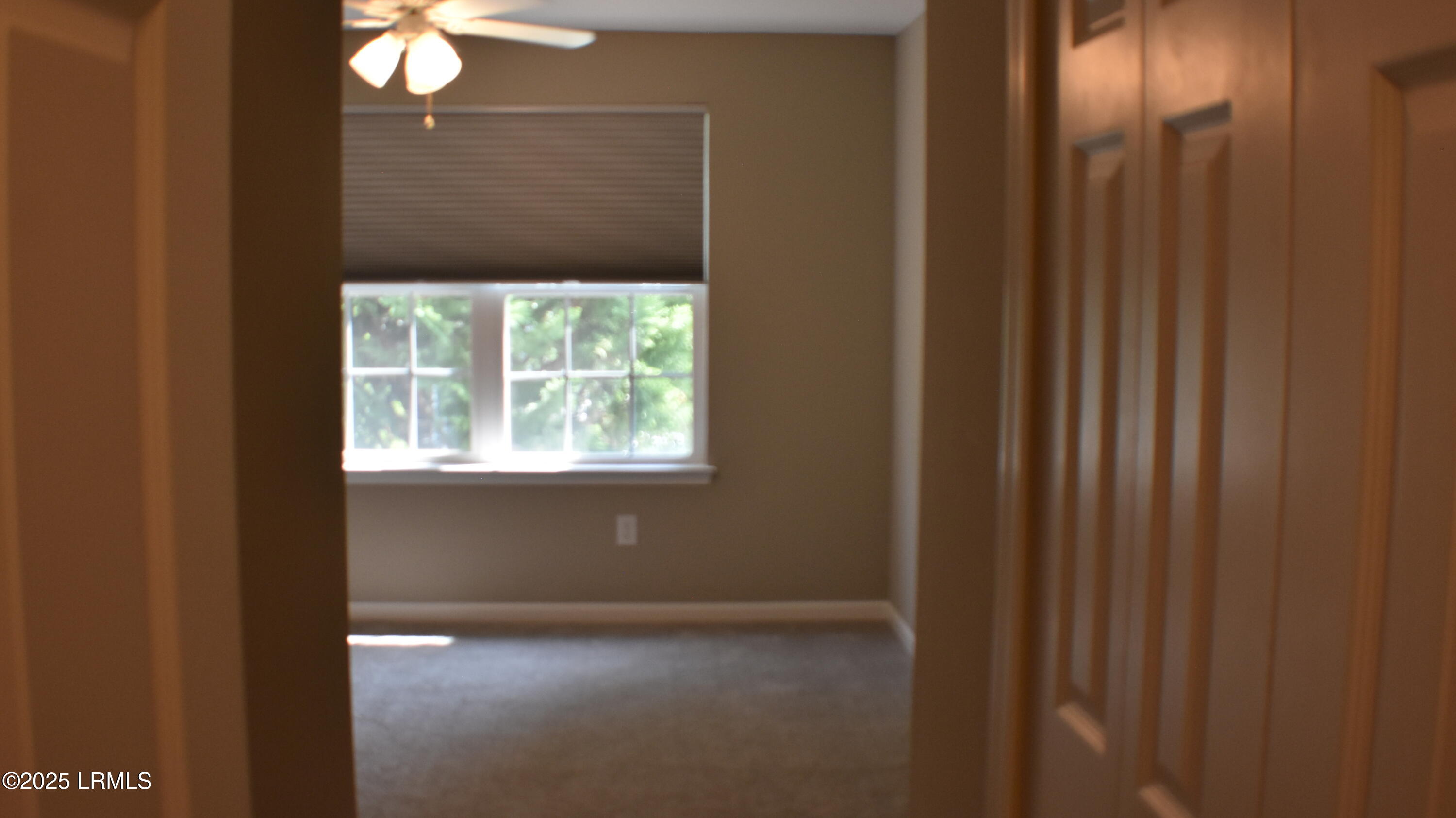 539 Candida Drive Beaufort, SC 29906 - Photo 43 of 49 30037139_DSC_8998