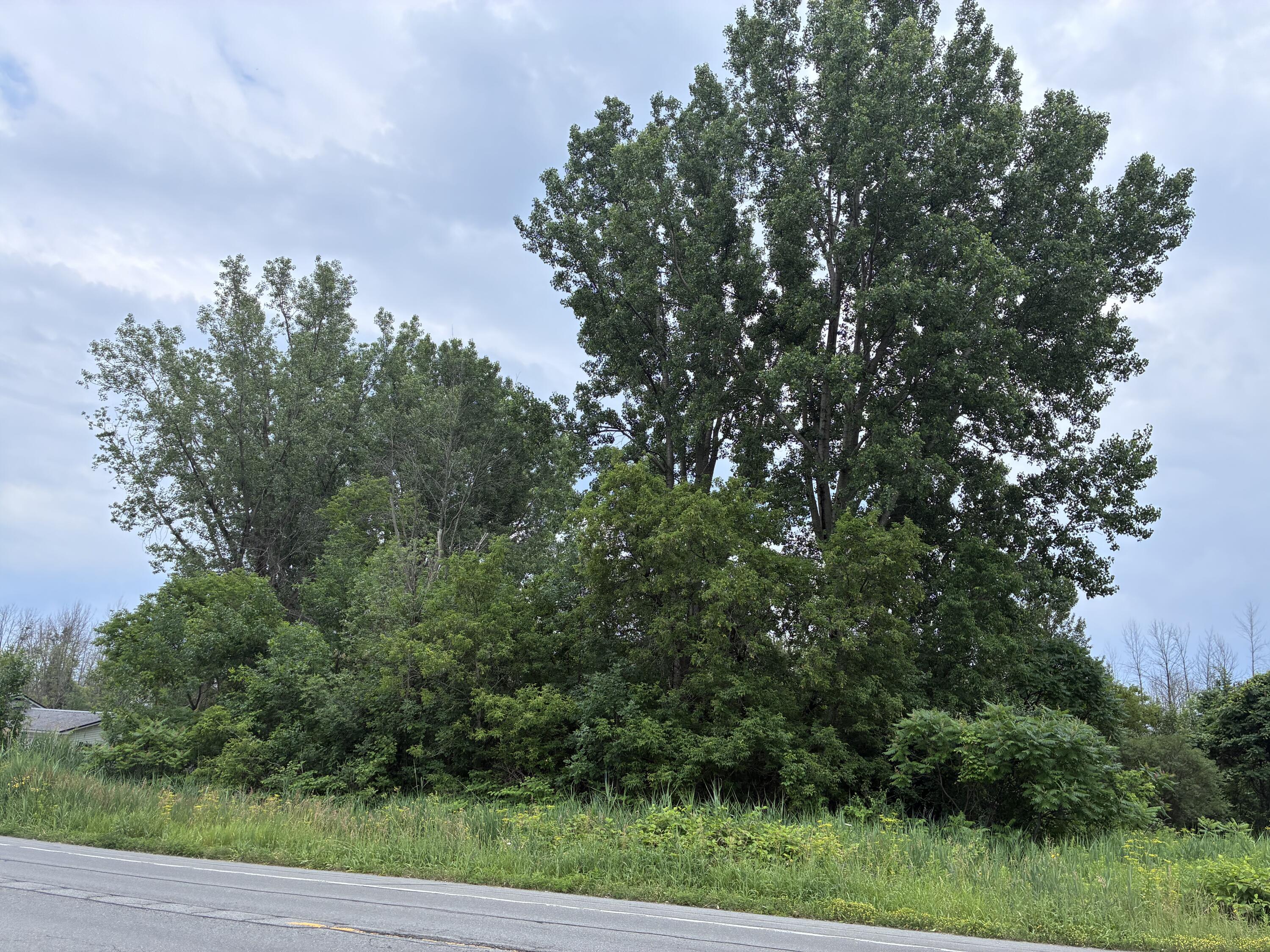0 Route 11 Route Antwerp, NY 13608 - Photo 2 of 5