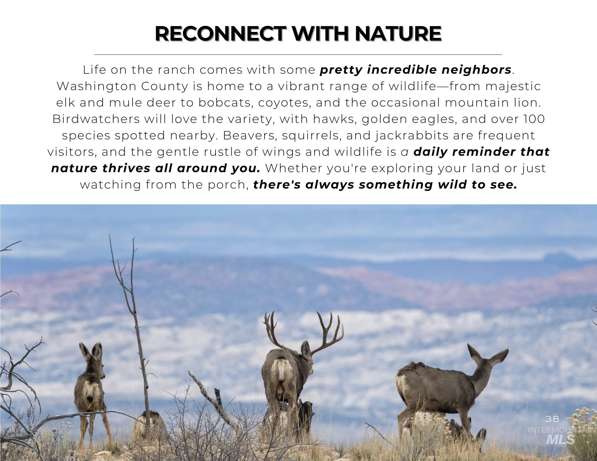 Tbd Bonner Road Midvale, ID 83645 - Photo 34 of 34