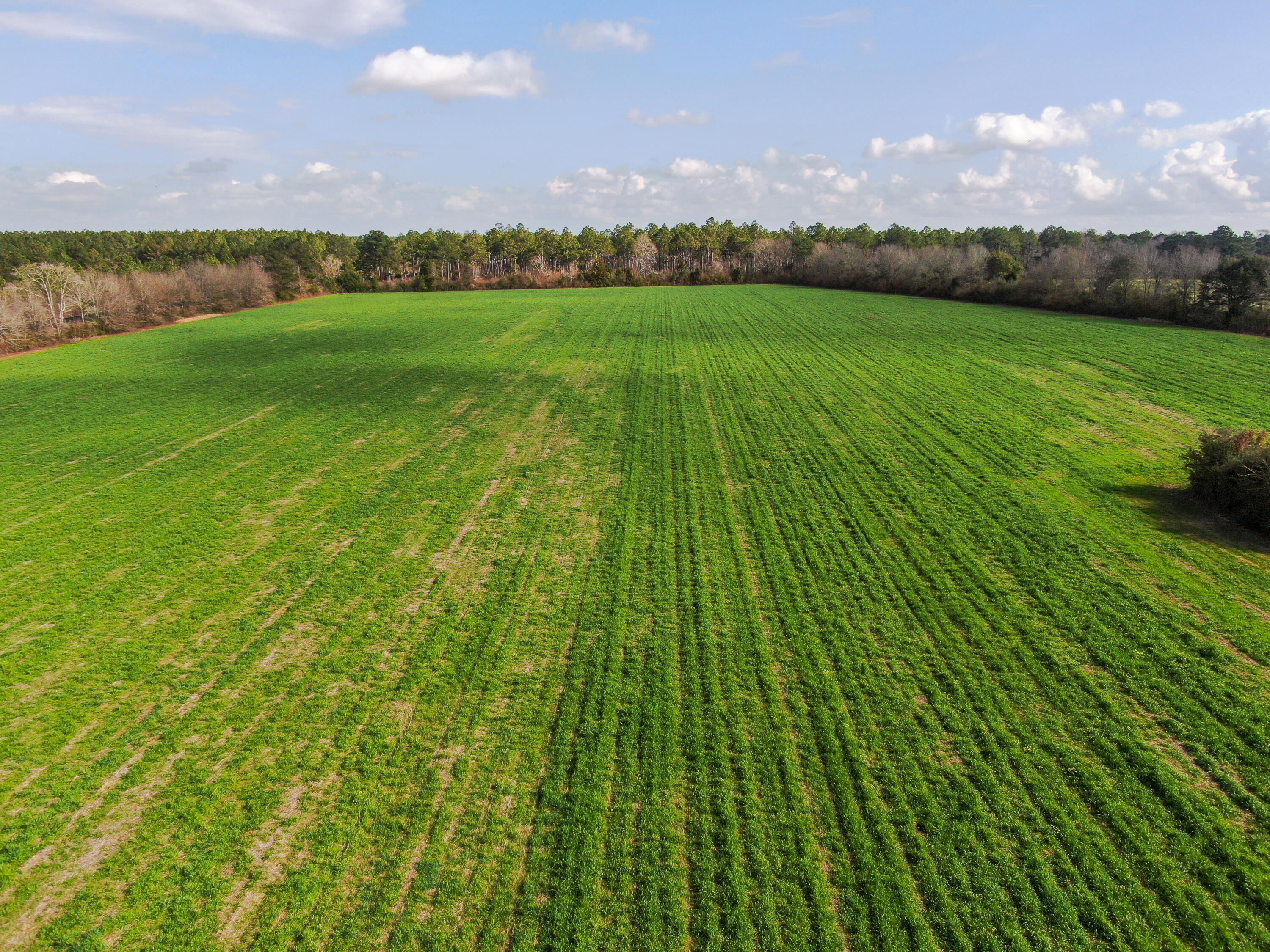 a view of an outdoor space and yard
