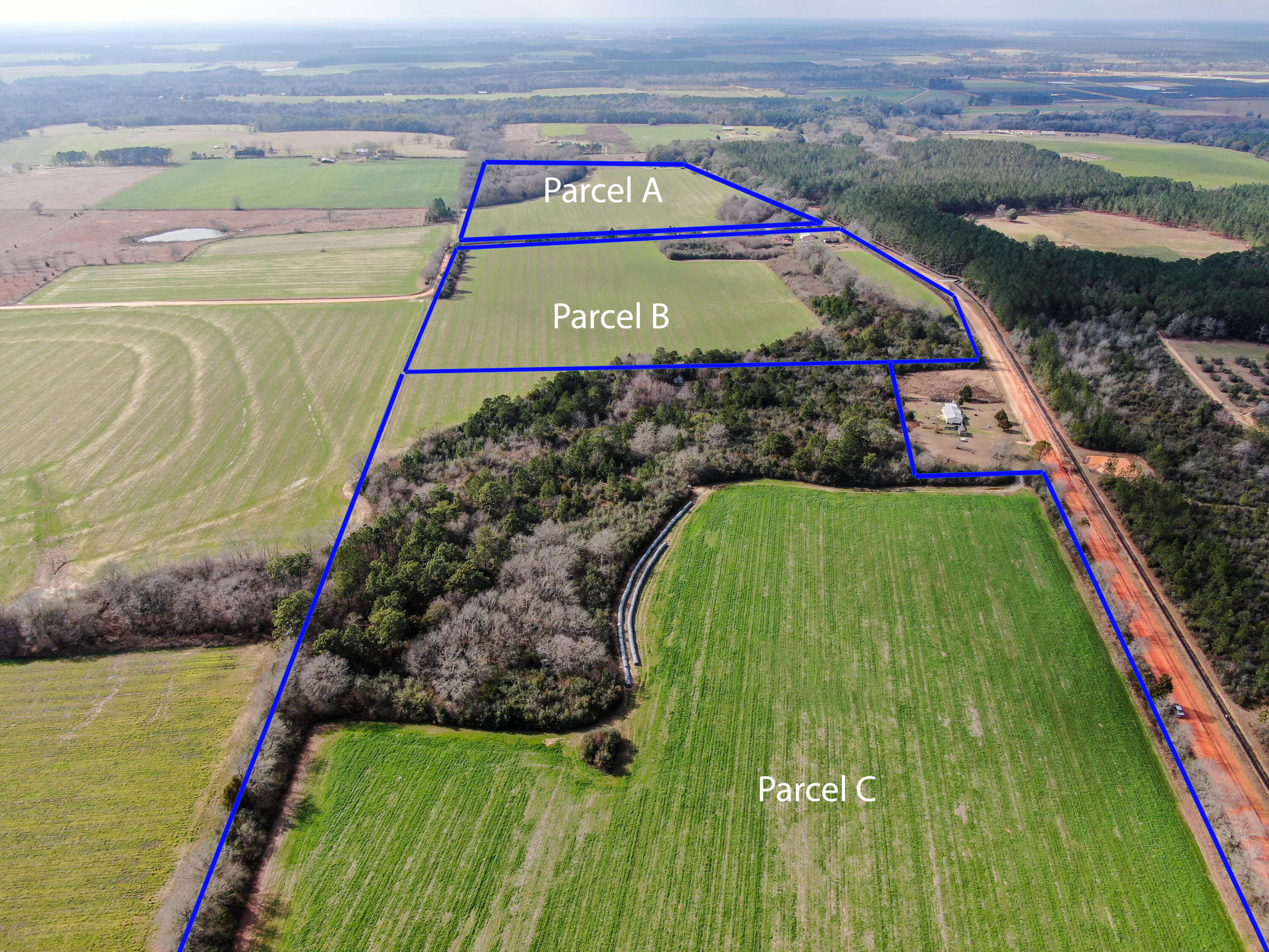 37-acres 37-acres Brown Road DeFuniak Springs, FL 32433 - Photo 20 of 21 a view of an outdoor space