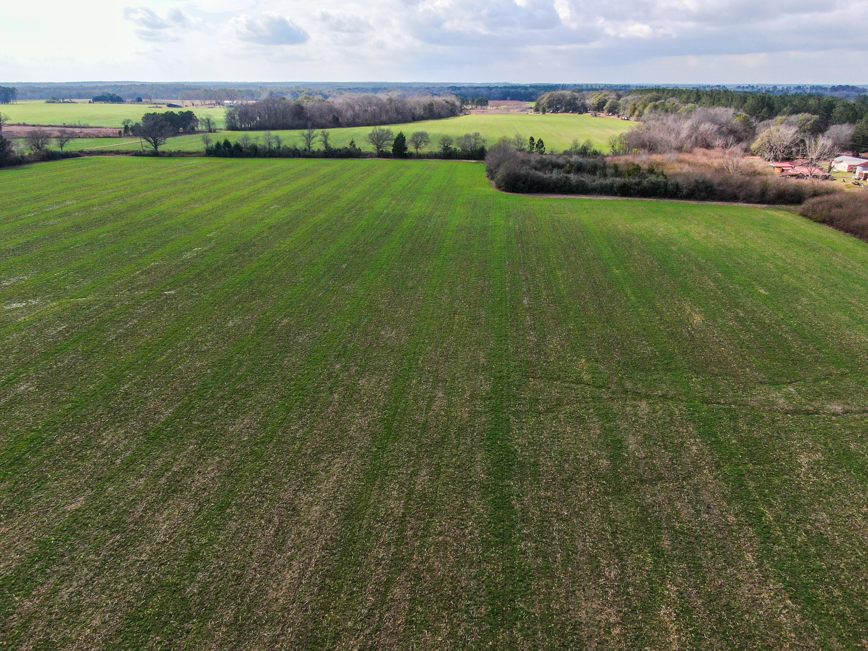 37-acres 37-acres Brown Road DeFuniak Springs, FL 32433 - Photo 3 of 21 a view of a green field with clear sky