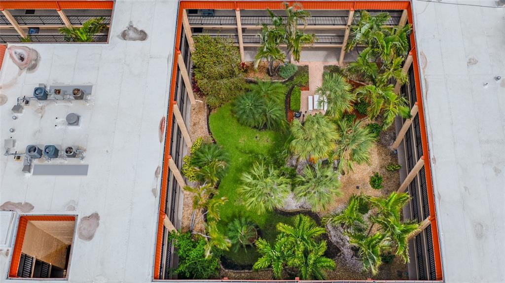 8911 Blind Pass Road, Unit 114 St. Pete Beach, FL 33706 - Photo 13 of 43 a close up of a plant in a garden