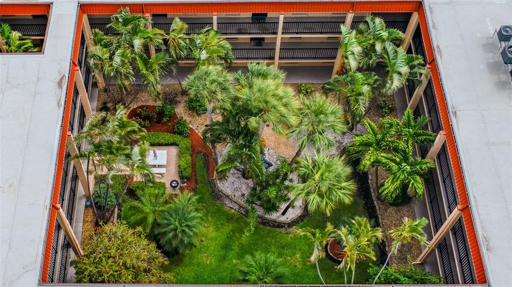 8911 Blind Pass Road, Unit 114 St. Pete Beach, FL 33706 - Photo 4 of 43 a plant that is in a garden