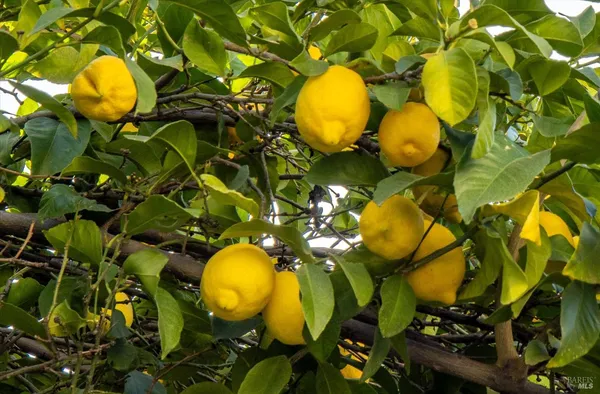 $580,000 | 580 Yellowstone Drive, Vacaville, CA 95687