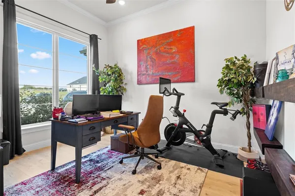 a workspace with furniture and a potted plant